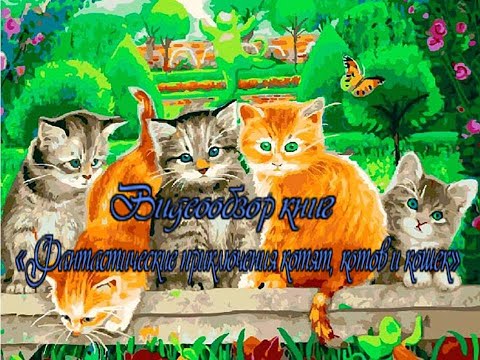 Видеообзор книг «Фантастические приключения котят, котов и кошек»