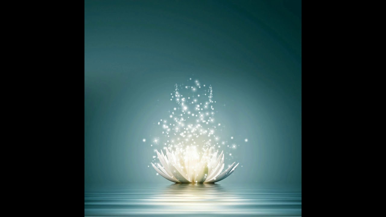 Stop Procrastinating Frequency (+ Will Enhancement) - Sapien Medicine