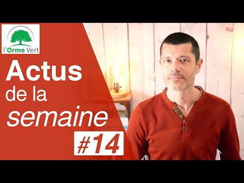 ACTUS #14 du 11-07-2023 - Régime méditerranéen, Aliments Végans, Brèves, ...
