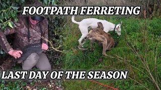 Footpath Ferreting Last Day Of the season