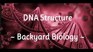 DNA   Backyard Biology