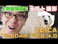 上野動物園でテスト撮影してきました！Panasonic LEICA DG VARIO-ELMARIT 12-60mm/F2.8-4.0