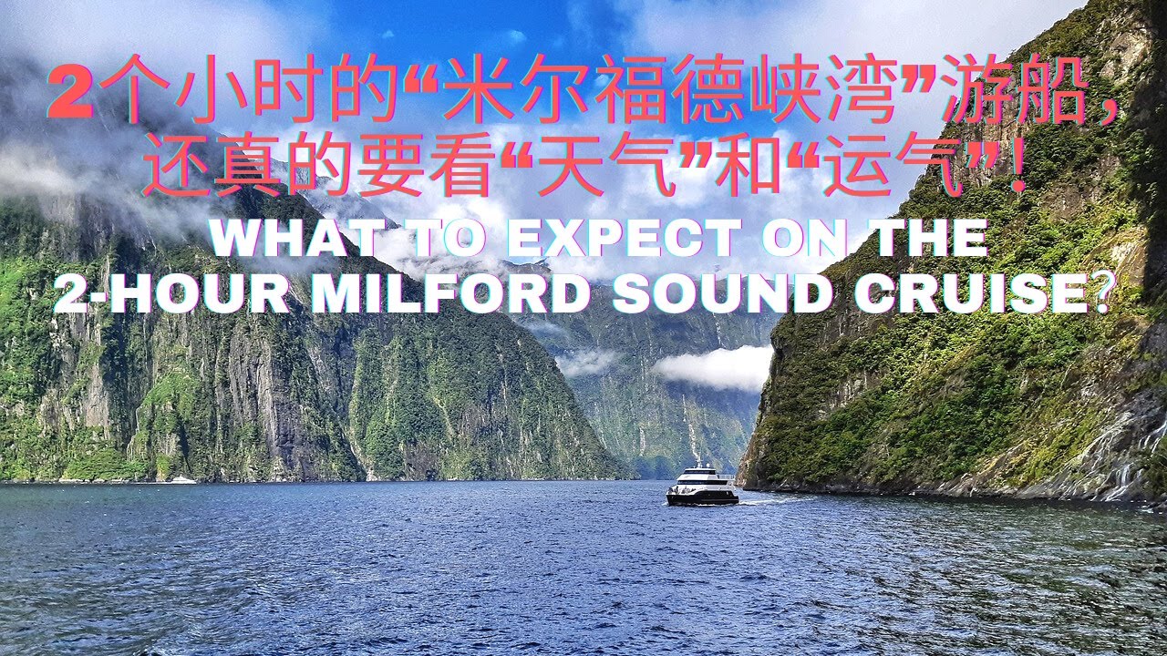 Milford Sound “米尔福德峡湾” 两个小时的游轮之旅, 全程被大雨和瀑布浇得一直在哆嗦。原来要看到海豚，企鹅，海豹还需要看运气。这里是新西兰的南岛，一个被号称为世界8大自然奇景的世界遗产！