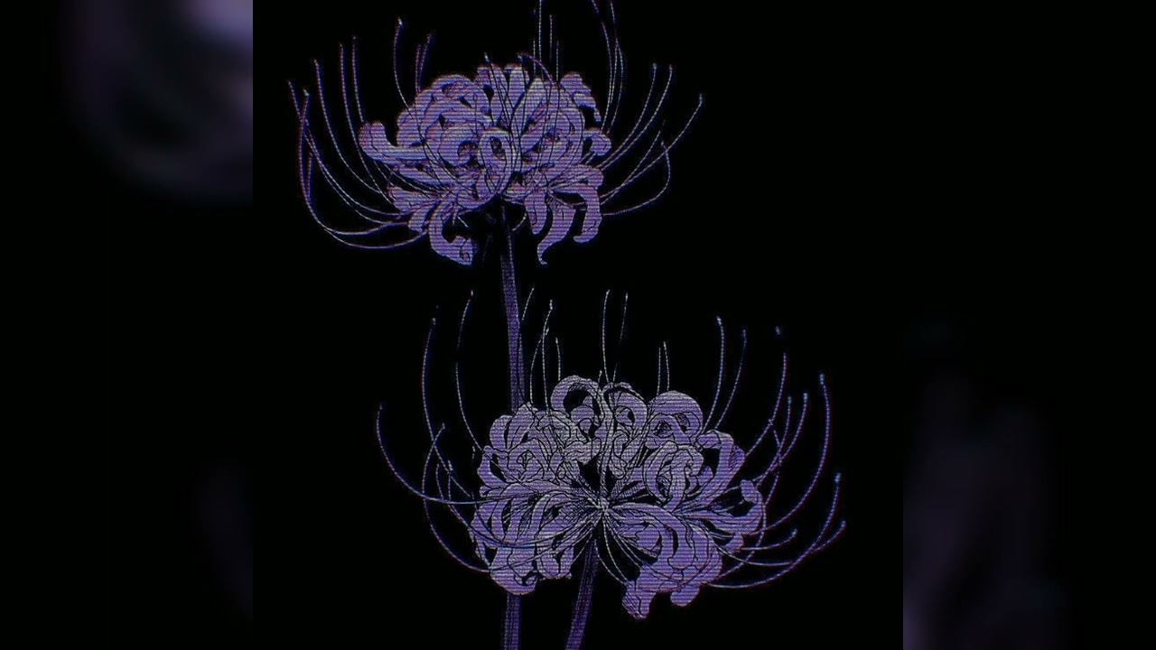 ✩ ♩  Kaoma — Lambada {slowed/reverb} ♩ ✩