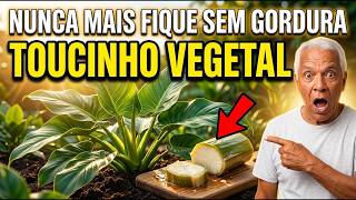 РАСТИТЕЛЬНЫЙ БЕКОН = ВЕЧНЫЙ ЖИР — почему пищевая индустрия похоронила это растение