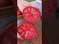 Крупные томаты - это счастье для огородника!