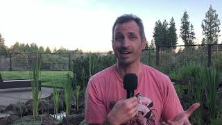 DR. ROB ORMAN: EM Residency Graduation 2020 Video