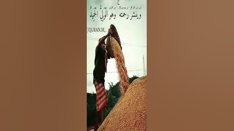 تلاوة تخشع لها القلوب رعد الكردي ❤