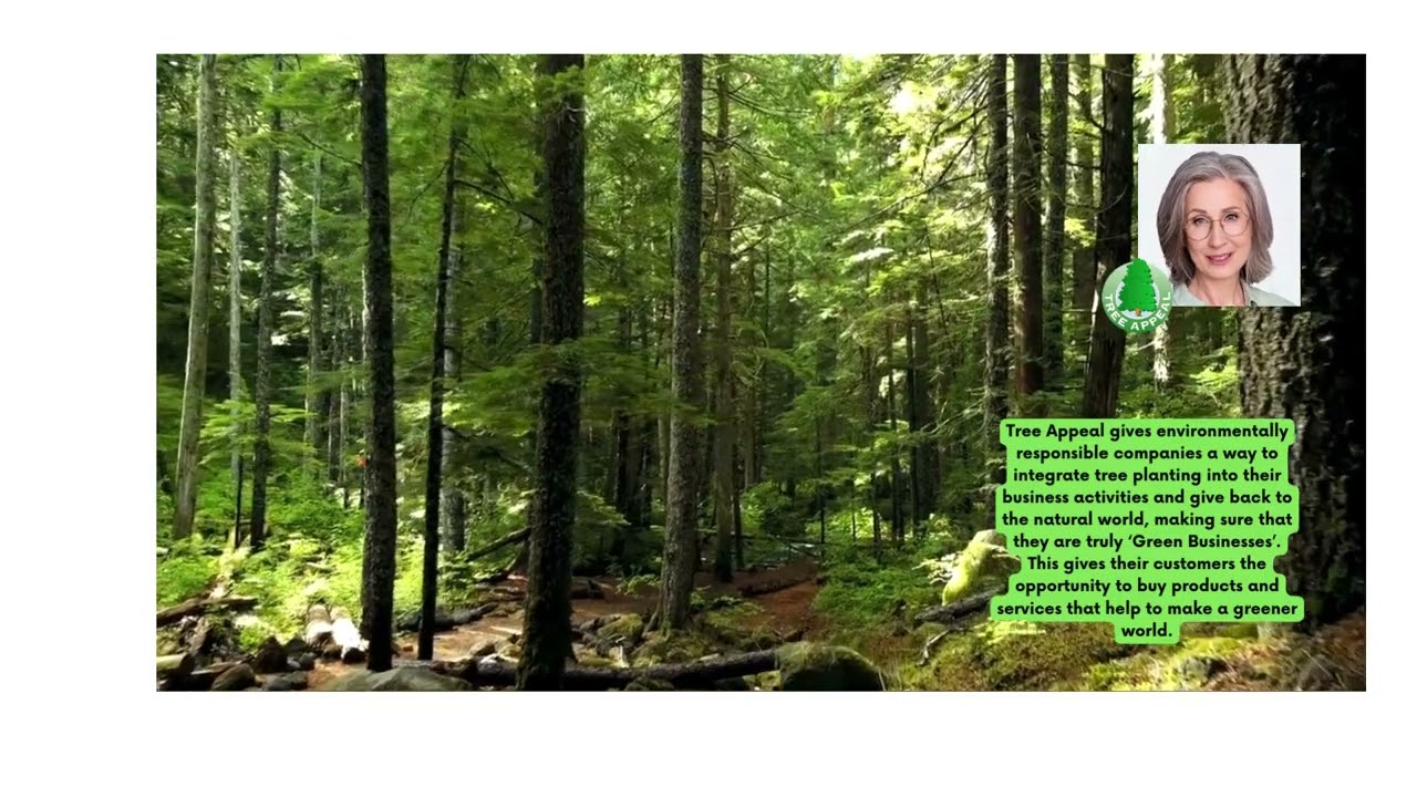 Tree Appeal gives environmentally responsible companies a way to integrate tree planting