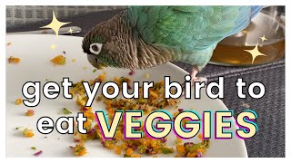 HOW TO GET YOUR BIRD TO EAT VEGGIES | Make Your Bird Eat Vegetables