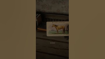 Horse Card Location In Rdr2 #shorts #spdxstreamgaming #rdr2