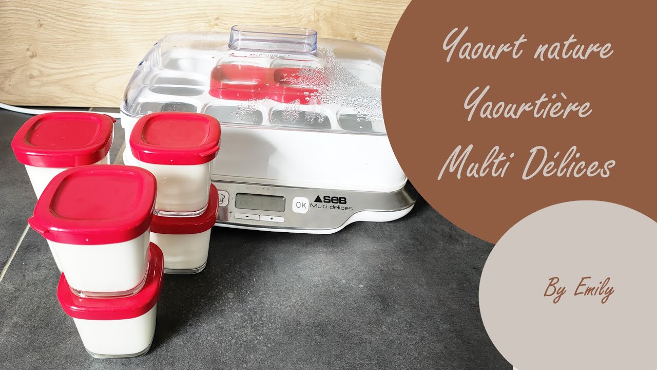YAOURTIERE MULTI DELICES | Recette Yaourts natures