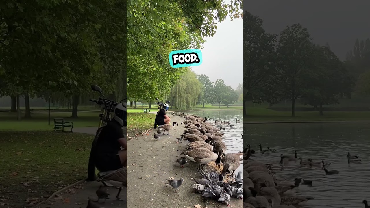 He Summoned An Entire Army of Ducks 😳 