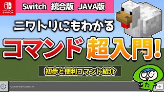 初心者のためのコマンドの基本解説【統合版　JAVA版　Switch】