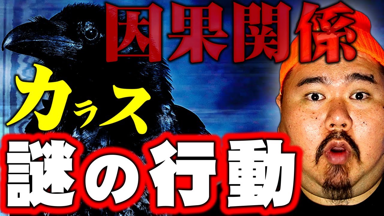 【怪談】おじぃちゃんがかわいがっていた、カラス。～因果関係あるのかな。～