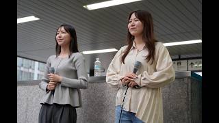 260503 Little Echo 新橋 路上ライブ 『なごり雪』カバー