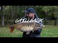 Action packed french carp fishing at cailleaux