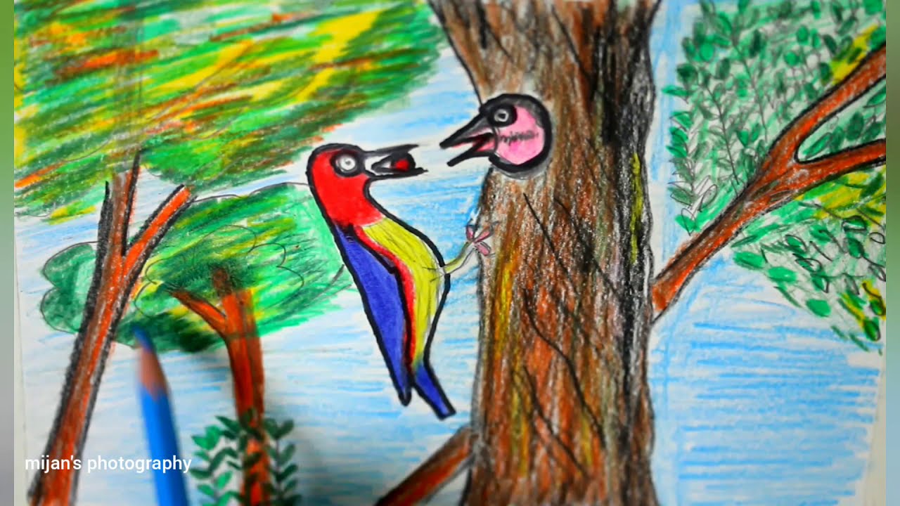 How to draw a Mother Bird feeding her baby bird for kids  /  How to draw a  Bird