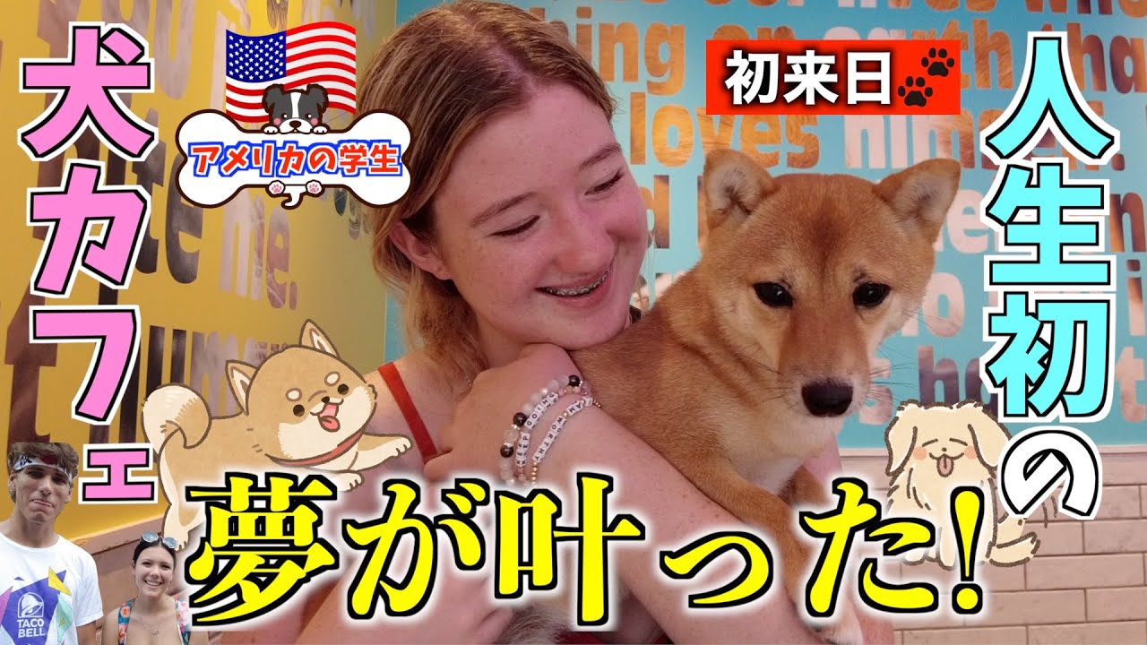 アメリカの高校生が初めて日本の犬カフェに大興奮・・【修学旅行で夢の日本へ】