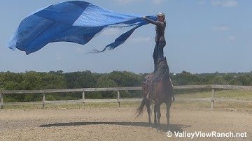 Gator - tarp rope flag! - ValleyViewRanch.net