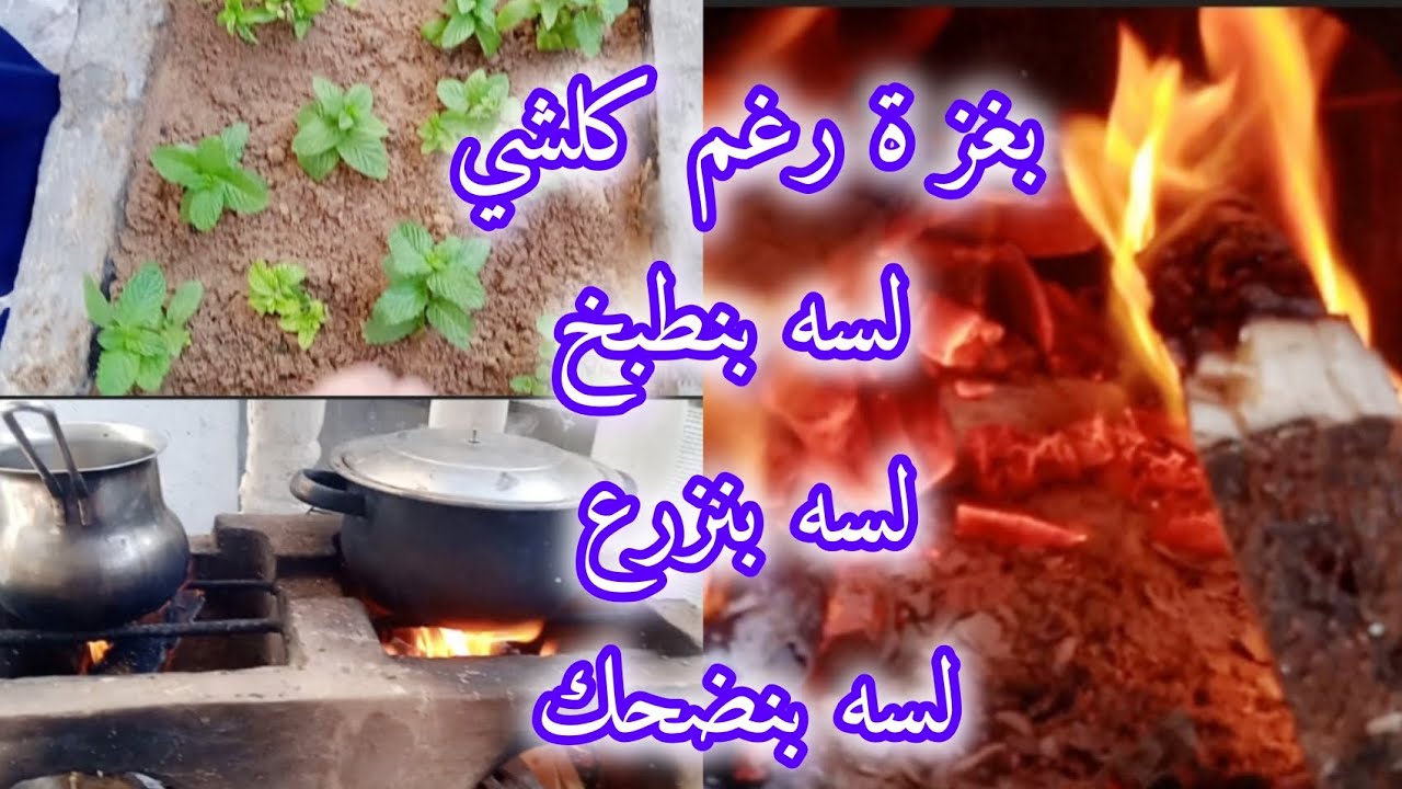 غز ة مش مجرد مكان ألم ومعاناه وجوع وظلم ..غزة مدرسة إيمان وكرامه وعزة نفس ورضا