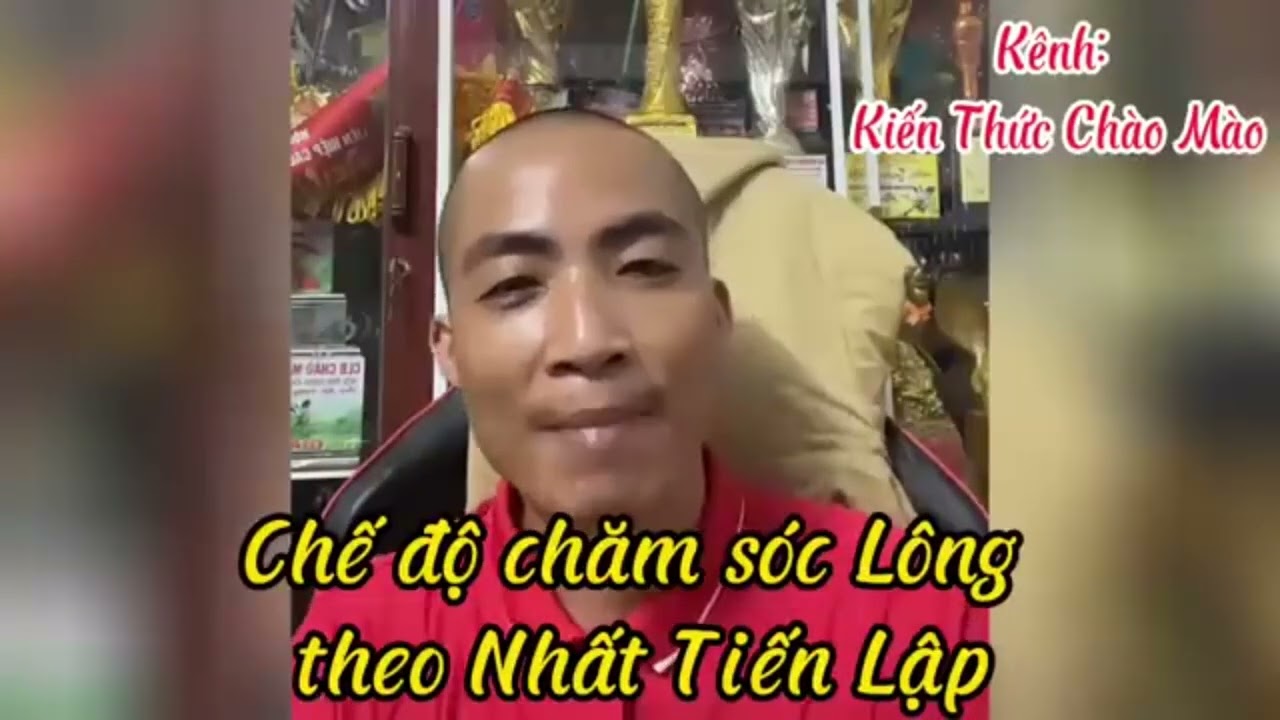 Chia sẻ kinh nghiệm chăm sóc Lông cho chim Chào mào/Nhất Tiến Lập