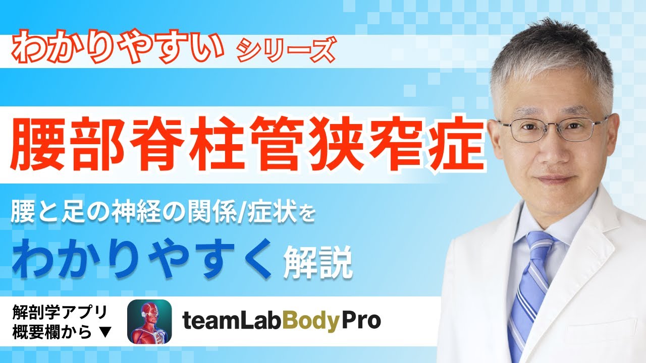 腰部脊柱管狭窄症の話【医師によるわかりやすい解説】