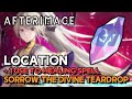 Afterimage - Sorrow, The Divine Teardrop Location (+ 1 Use To Healing Spell)