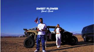 Sweet Flower Slowed+Reverb {AP DHILLON} Reverb Reverie