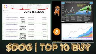 Top 10 Dog Wallets Increased New Ath 19.19%