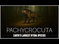 Pachycrocuta: Bone-Crushing Hyenas of the Ice Age | Documentary