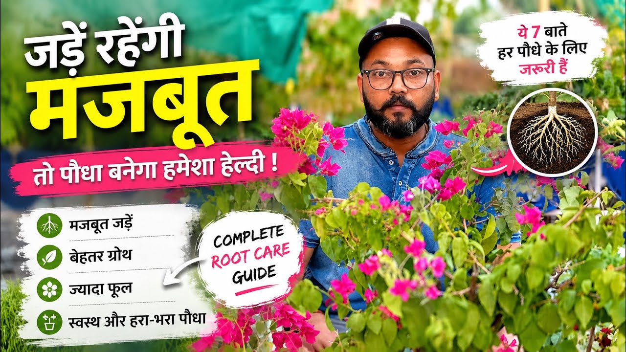जड़ें मजबूत होंगी तो पौधा हमेशा Healthy रहेगा | 
