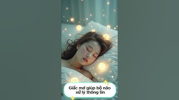 10 Sự thật bất ngờ về bộ não con người