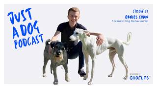 Why dogs react | Stress, trauma, and the canine brain | Daniel Shaw | Forensic Dog Behaviourist