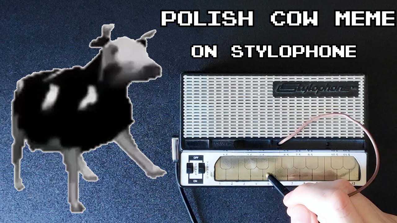 Polish cow текст. Dancing Polish Cow перевод. Dancing Polish Cow Dancing Cow текст. Polish Cow. Polish Cow meme.