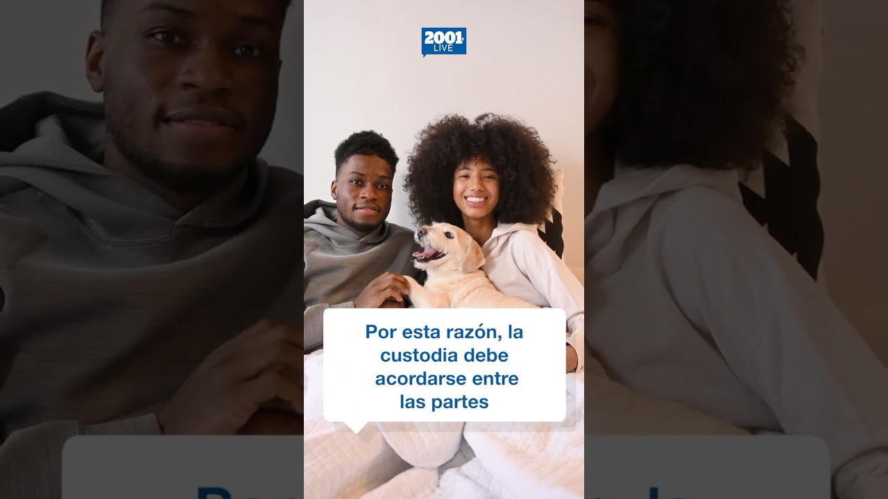¿Qué pasa con las mascotas tras el divorcio? conozca lo que establece la ley