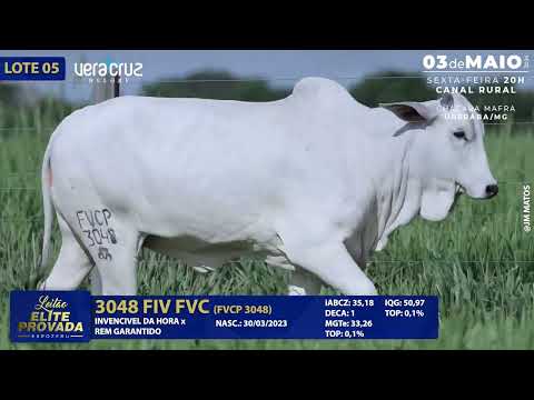 LOTE 05   FVCP 3048