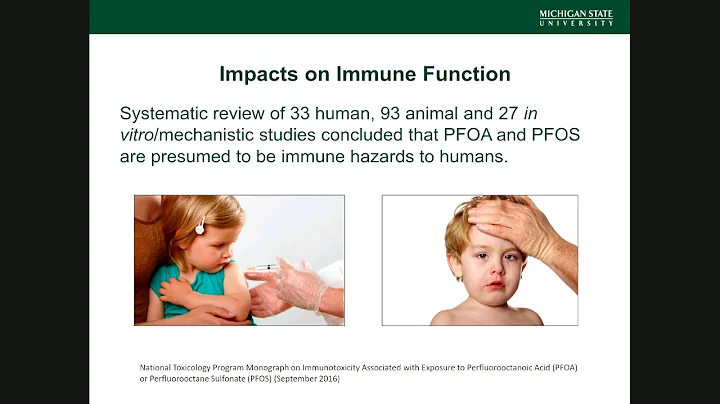 Emerging Contaminants: The Latest Research on PFAS: The Current 53