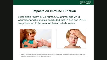 Emerging Contaminants: The Latest Research on PFAS: The Current 53
