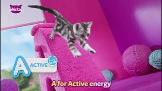 Download lagu Wow, New Whiskas® Improved Recipe😻 with A-B-C, 3 Signs of healthy cat.✨