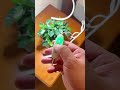 Give your plants the VIP treatment! #sansi #plants