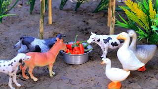 😍cow videos funny, nikkijcb video, cattle, amba, bommalu, animal video, tractor, Jun 5, 20265:58 PM