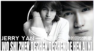 JERRY YAN - WO SHI ZHEN DE ZHEN DE ZHEN DE HEN AI NI | KARAOKE | LYRICS