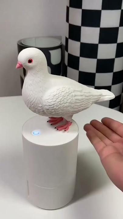 Amazon finds gadgets #kitchen #shop #shopping #hack are #home #house #decor have #viral #reels