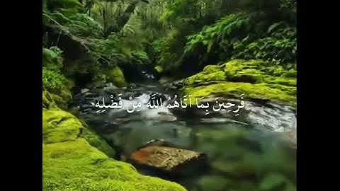 سورة آل عمران ❤️{ ولا تحسبن اللذين قتلوا في سبيل الله أمواتاً } _ فارس عباد