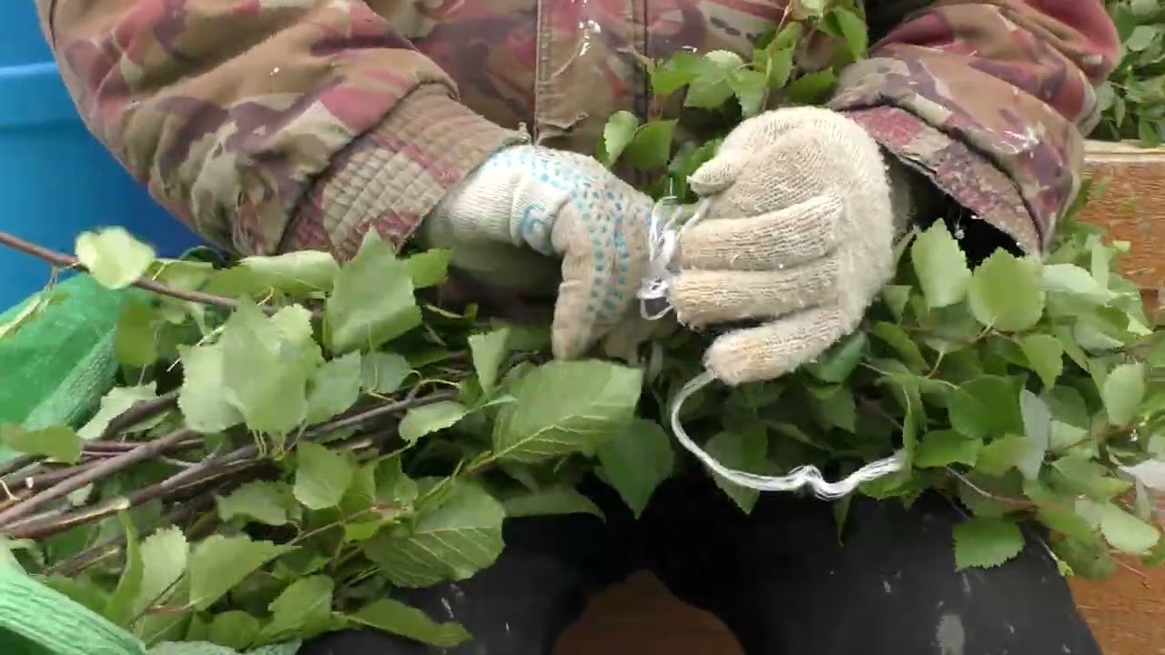 Branch Collection PSA