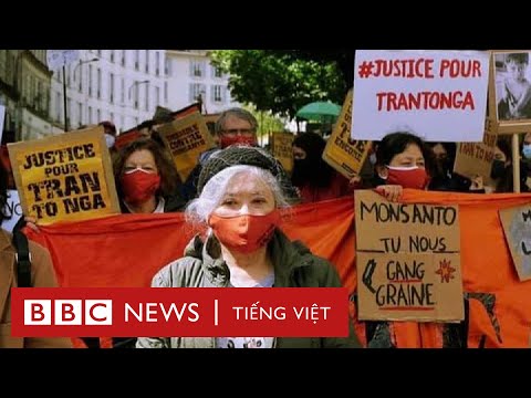 Video Bà Trần Tố Nga 'một mình đi kiện các đại công ty' -... - youtube