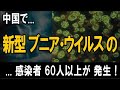 中国で「新型ブニアウイルス」感染者が60人以上発生！― SFTSの症状とは？
