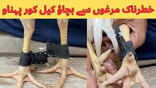 Keel Cover Banana Bohat Asanaseel Mur Boxing Gloveskil Cover Pehnane Ka Tarika?
