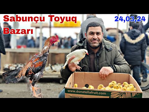 Sabunçu Toyuq Bazarı 24 mart 2024 0503303013,0778000013, 0506751756,0557848534